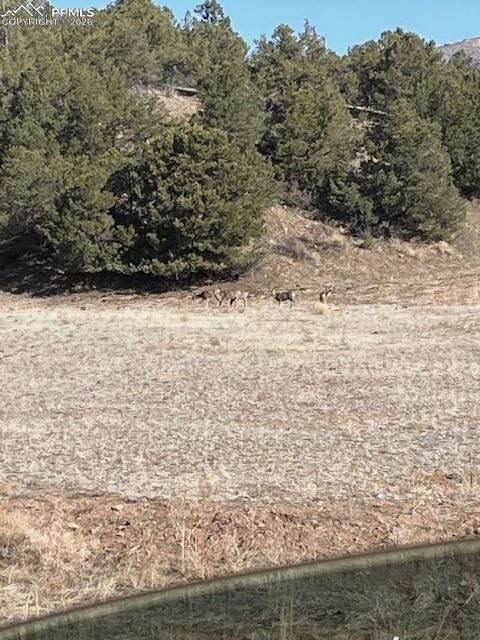 Lot 17 S Dunn Drive Canon City CO 81212