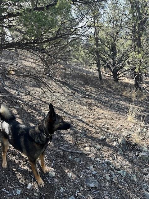 Lot 17 S Dunn Drive Canon City CO 81212