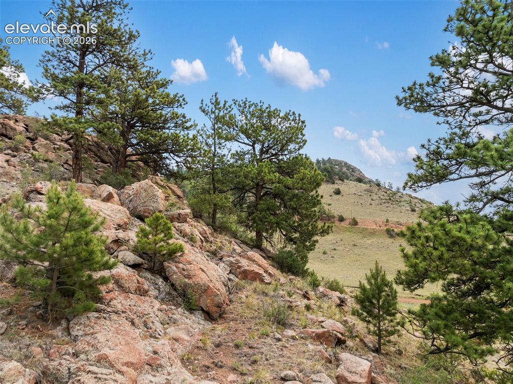 92 Sprucewood Drive Florissant CO 80816