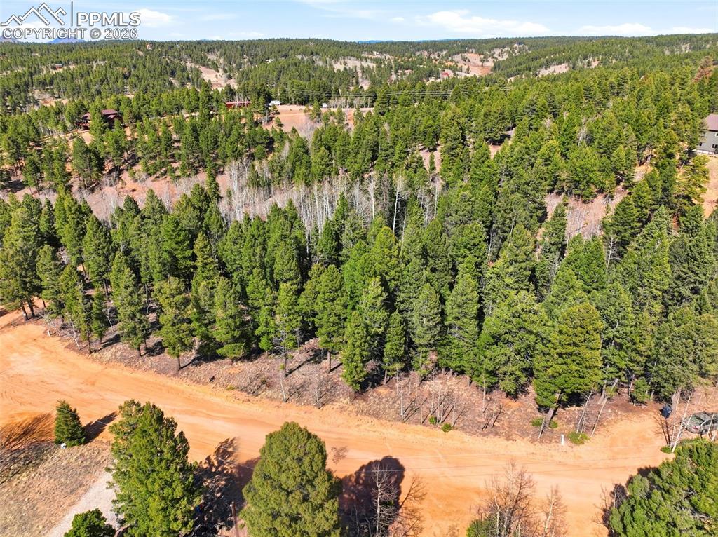 278 Cherry Lake Drive Divide CO 80814