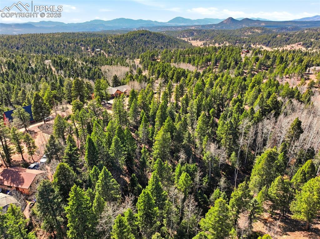 278 Cherry Lake Drive Divide CO 80814