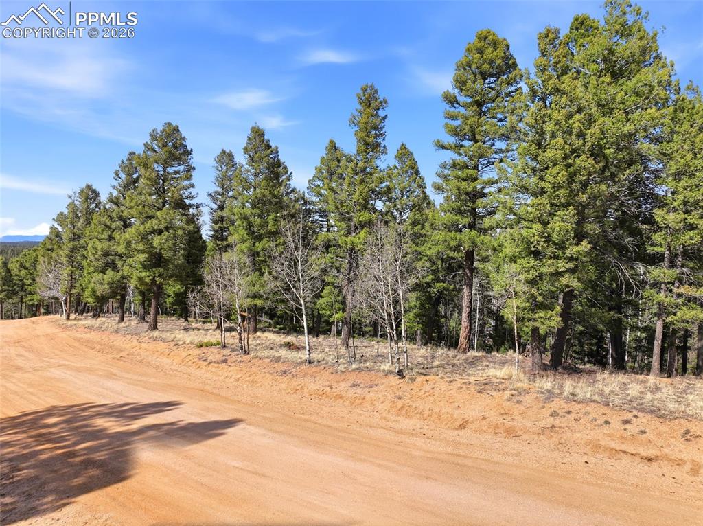 278 Cherry Lake Drive Divide CO 80814