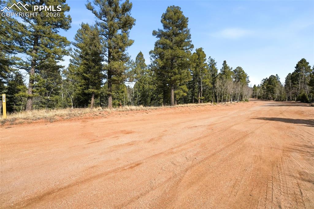 278 Cherry Lake Drive Divide CO 80814
