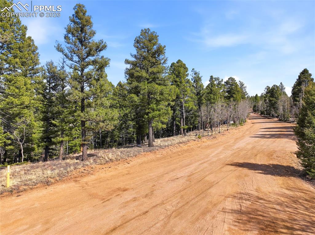 278 Cherry Lake Drive Divide CO 80814