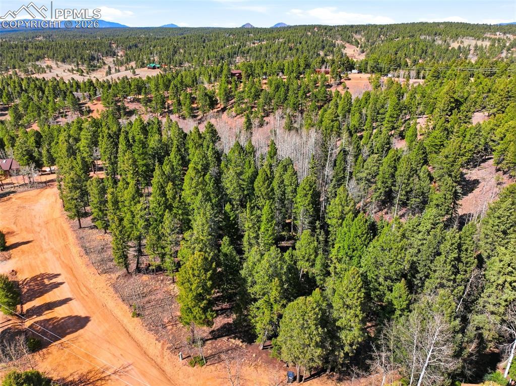 278 Cherry Lake Drive Divide CO 80814