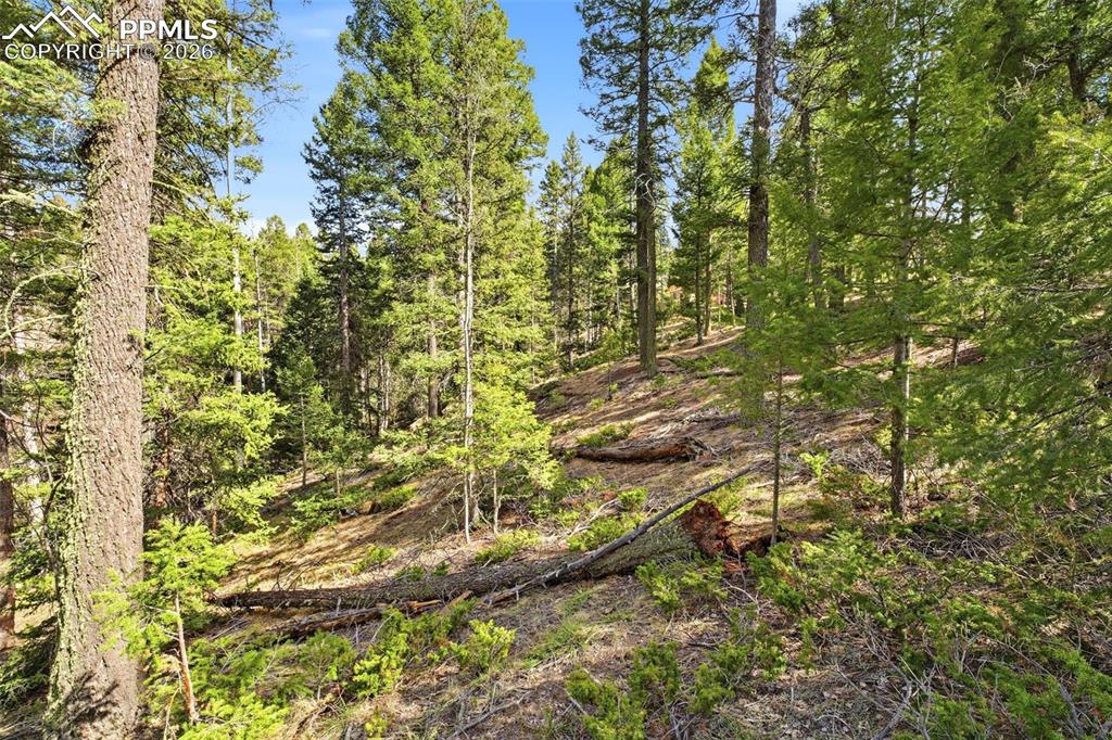 278 Cherry Lake Drive Divide CO 80814