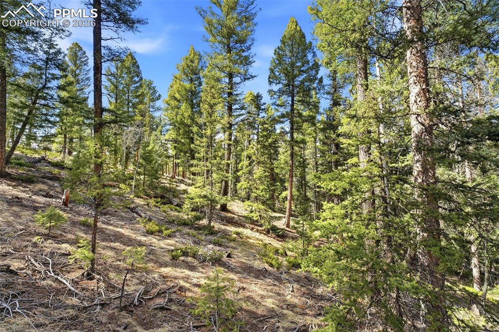278 Cherry Lake Drive Divide CO 80814