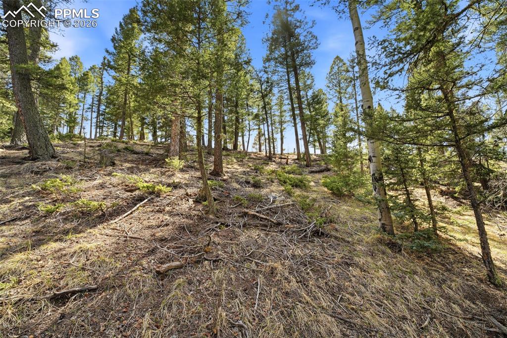 278 Cherry Lake Drive Divide CO 80814