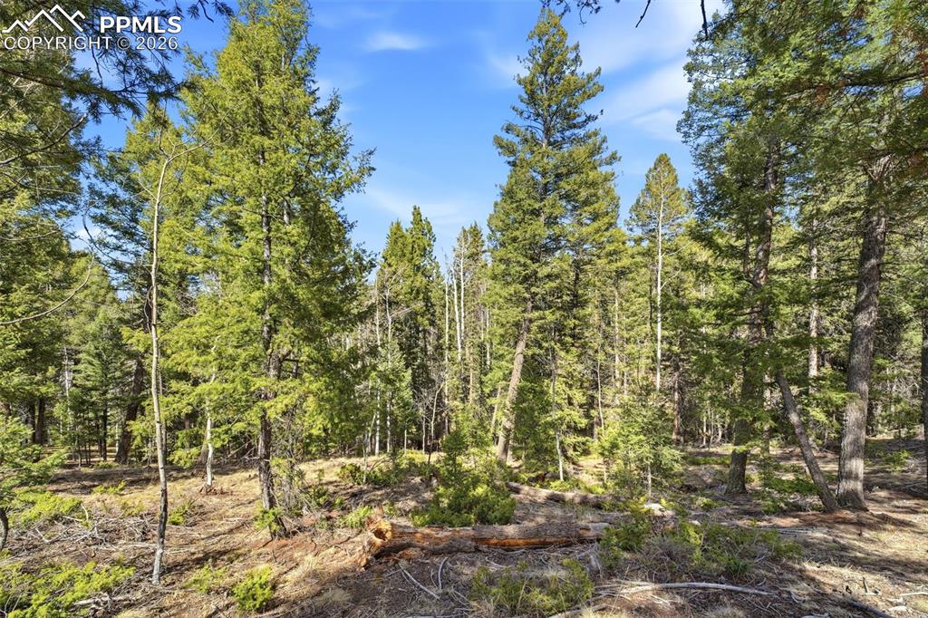 278 Cherry Lake Drive Divide CO 80814