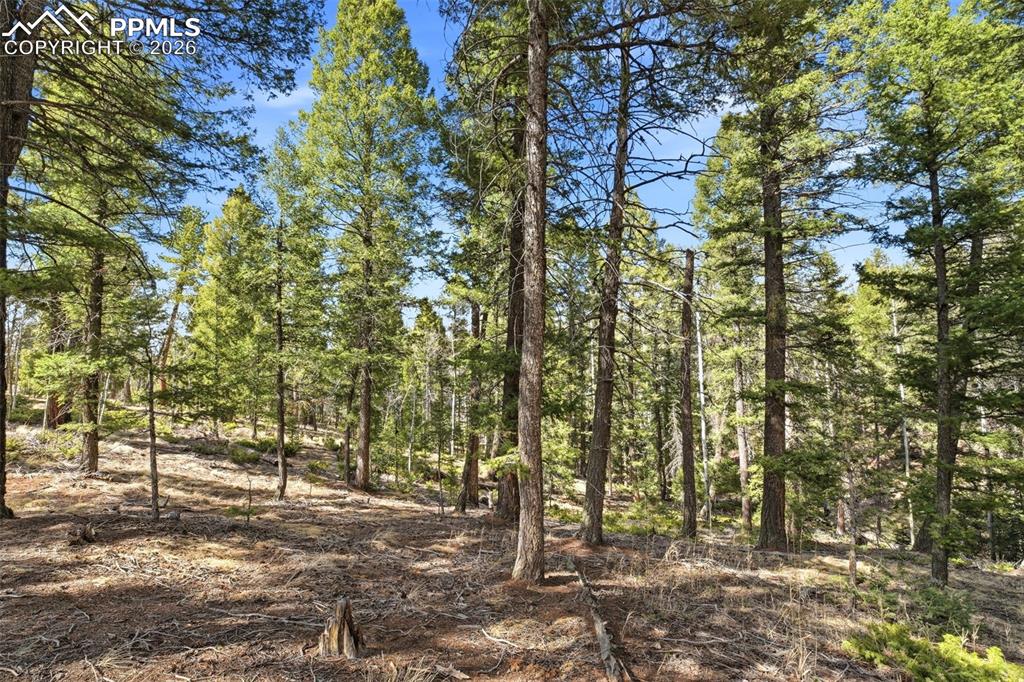 278 Cherry Lake Drive Divide CO 80814