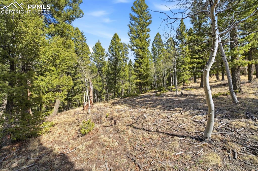 278 Cherry Lake Drive Divide CO 80814