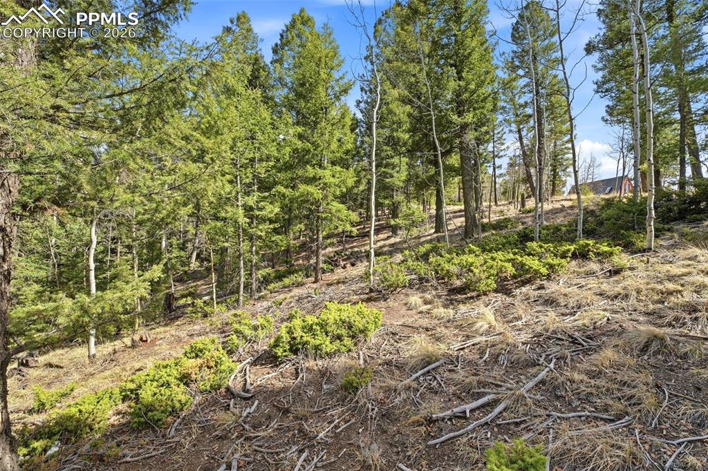 278 Cherry Lake Drive Divide CO 80814