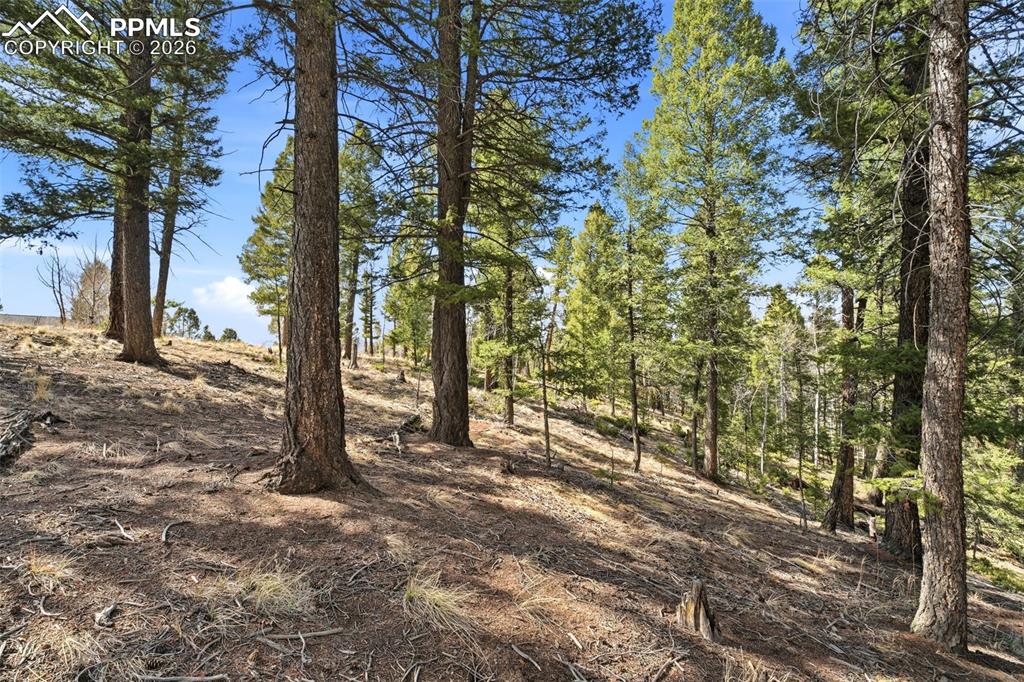 278 Cherry Lake Drive Divide CO 80814