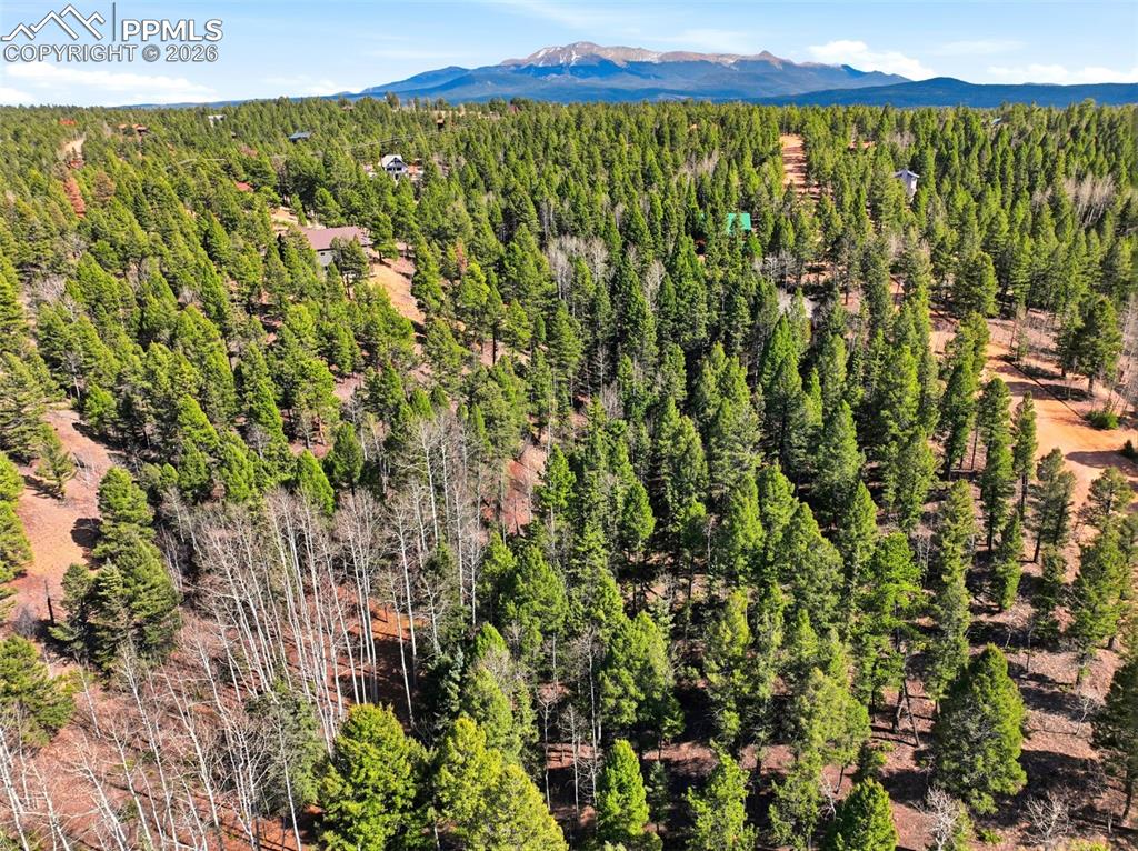 278 Cherry Lake Drive Divide CO 80814