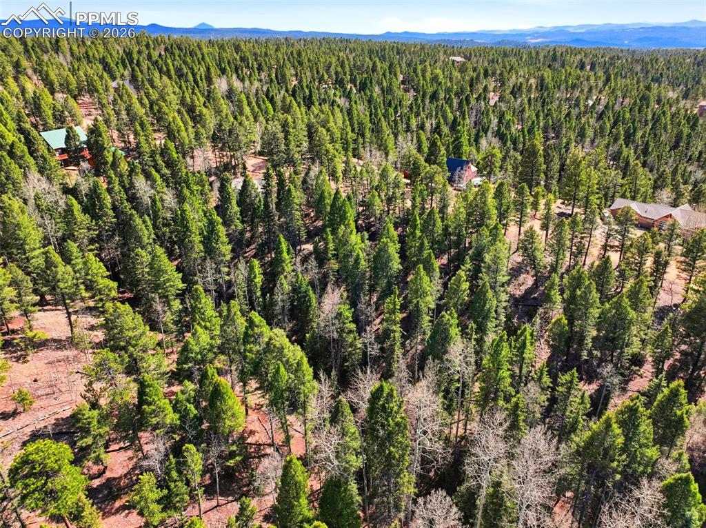 278 Cherry Lake Drive Divide CO 80814