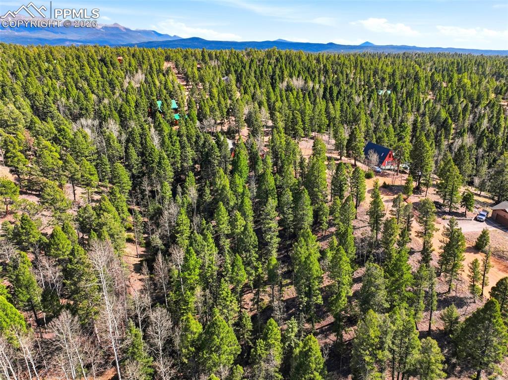 278 Cherry Lake Drive Divide CO 80814