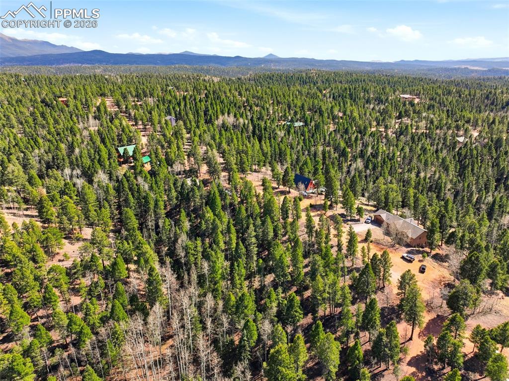 278 Cherry Lake Drive Divide CO 80814