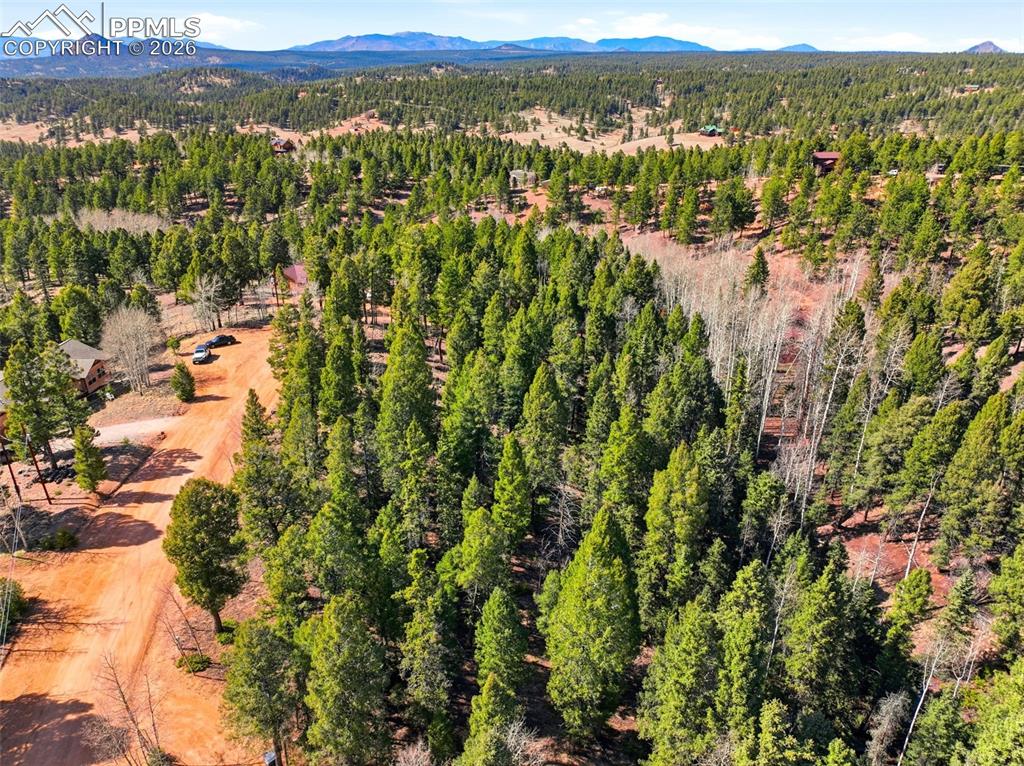 278 Cherry Lake Drive Divide CO 80814