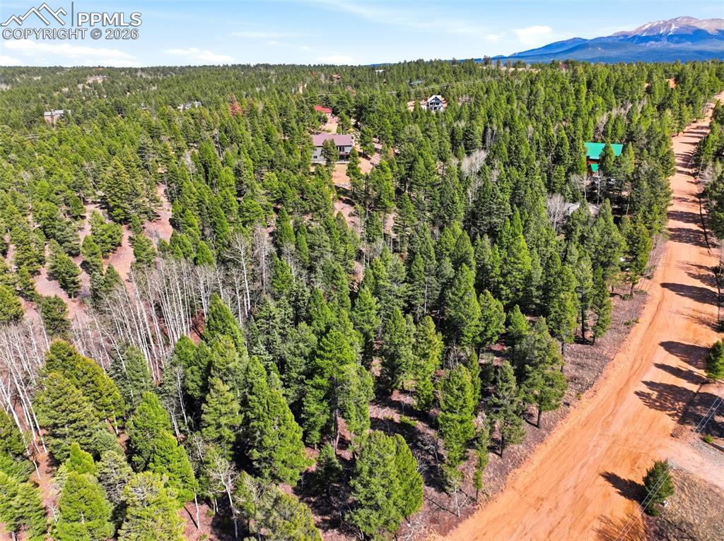 278 Cherry Lake Drive Divide CO 80814