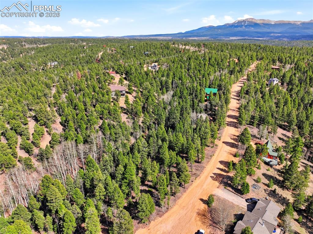 278 Cherry Lake Drive Divide CO 80814