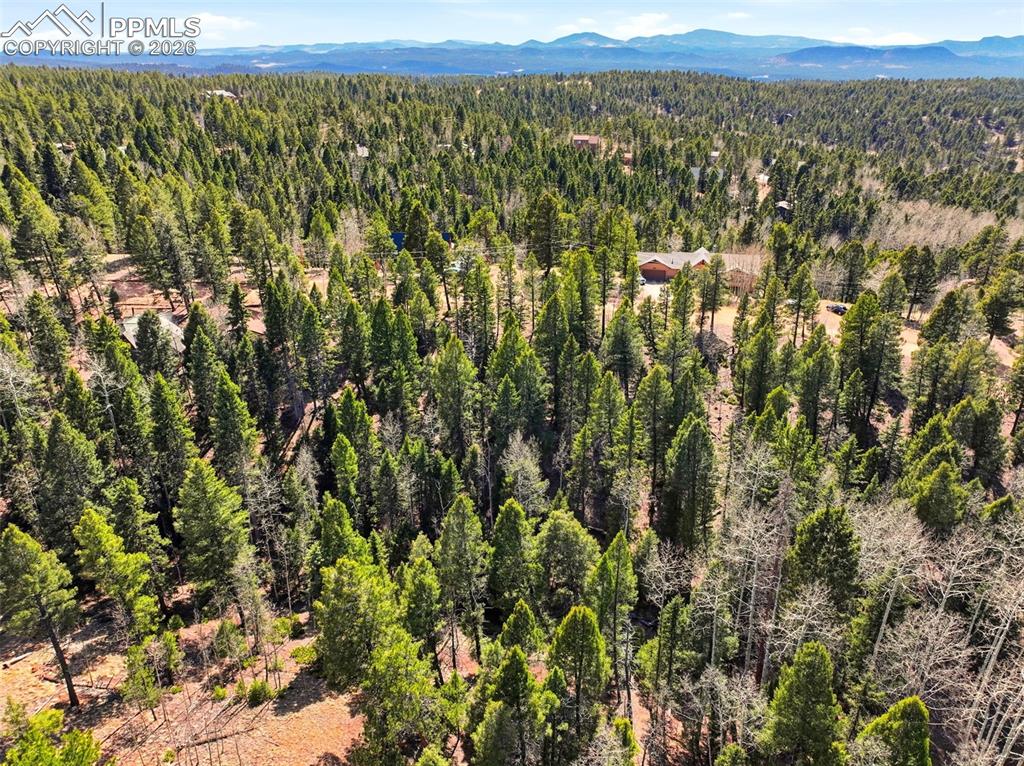 278 Cherry Lake Drive Divide CO 80814