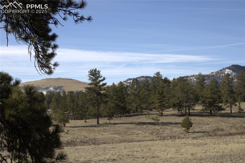 2450 Antelope Lane Guffey CO 80820
