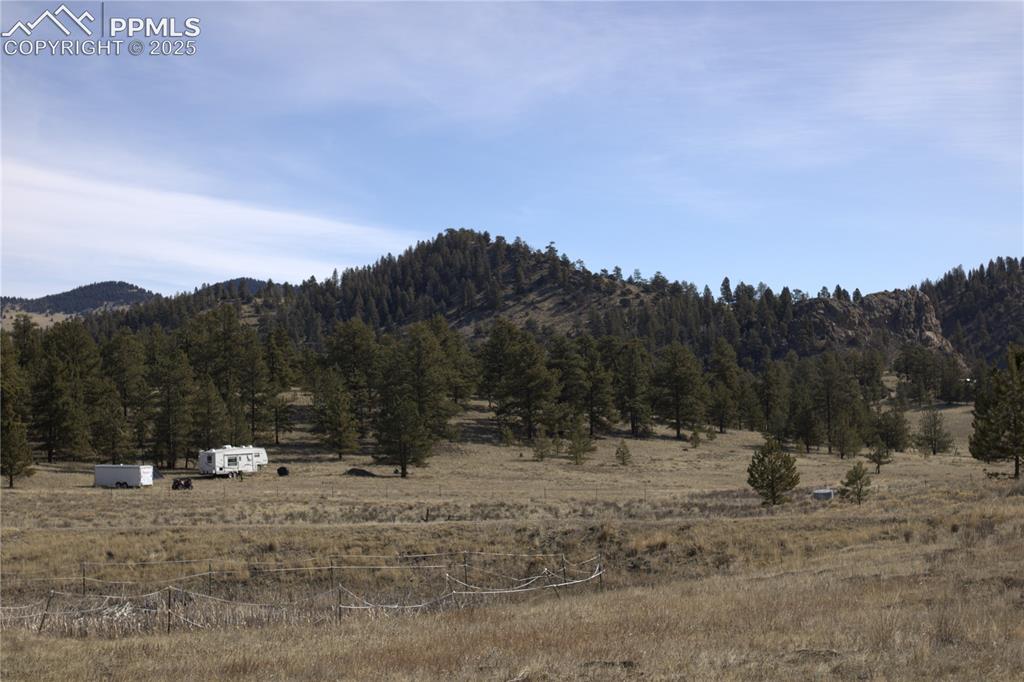 2450 Antelope Lane Guffey CO 80820