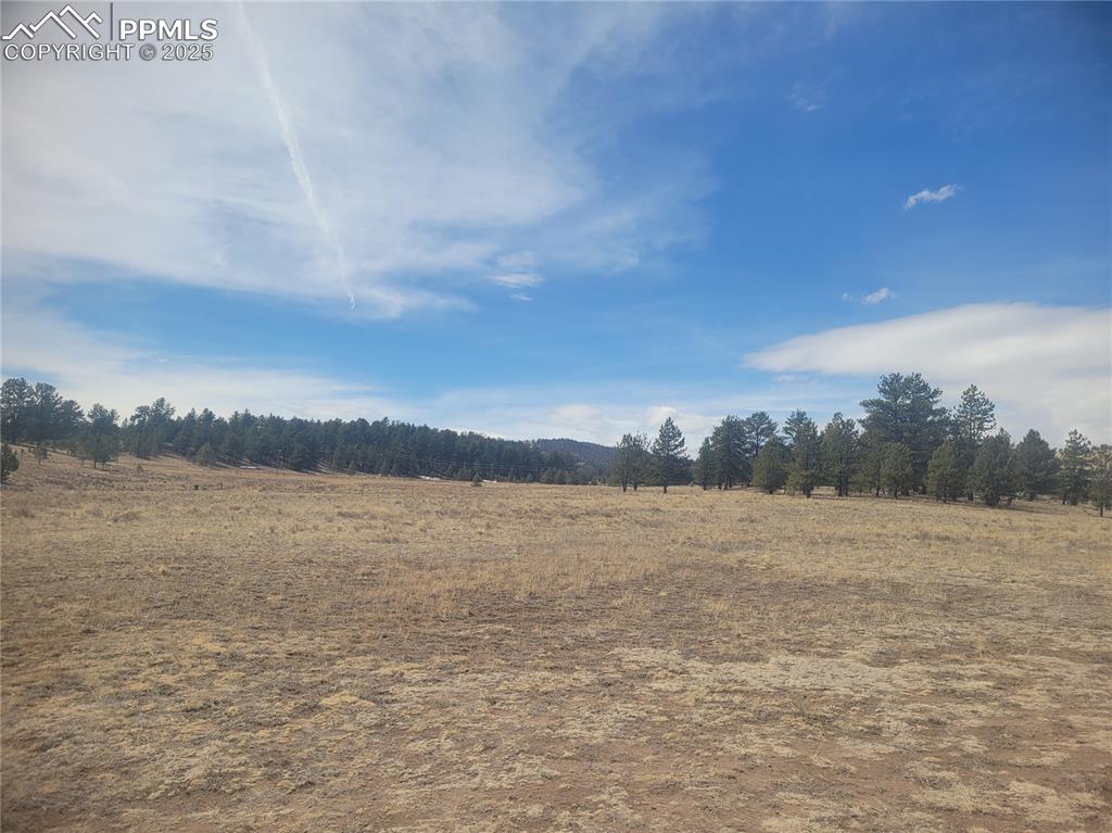 2450 Antelope Lane Guffey CO 80820