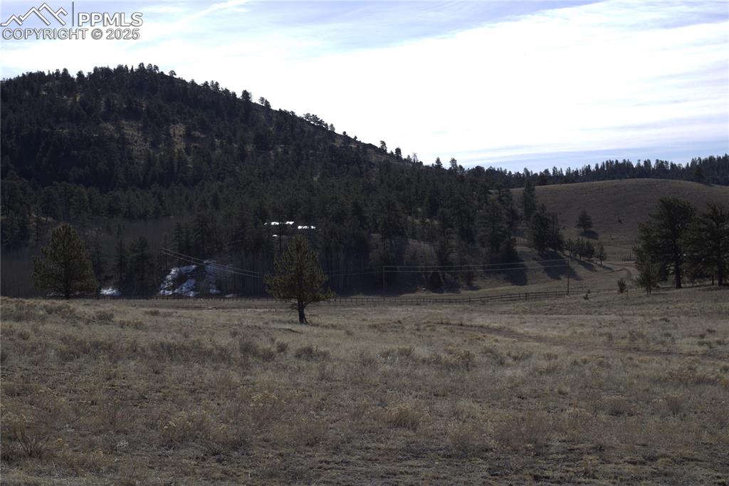 2450 Antelope Lane Guffey CO 80820