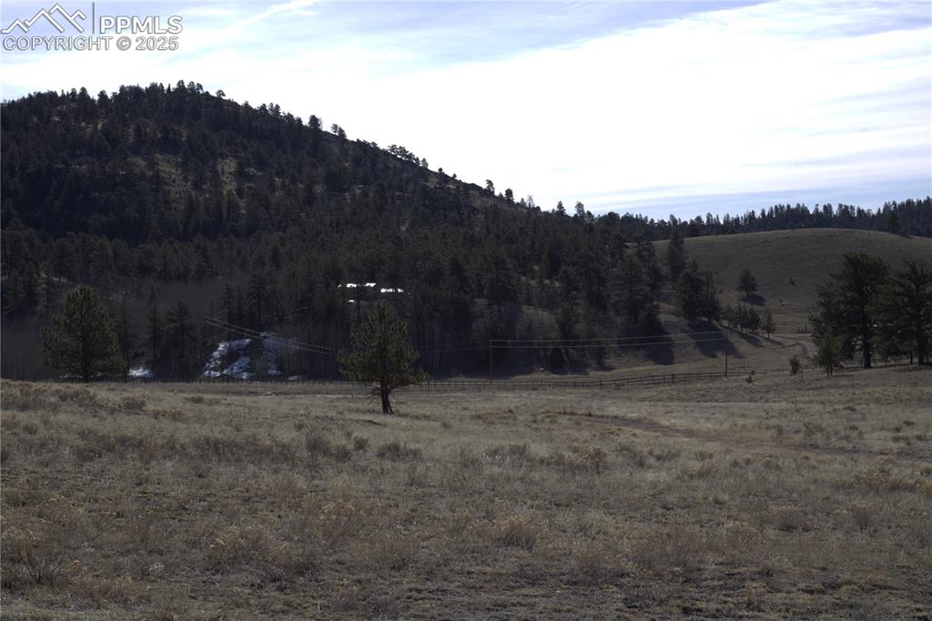 2450 Antelope Lane Guffey CO 80820