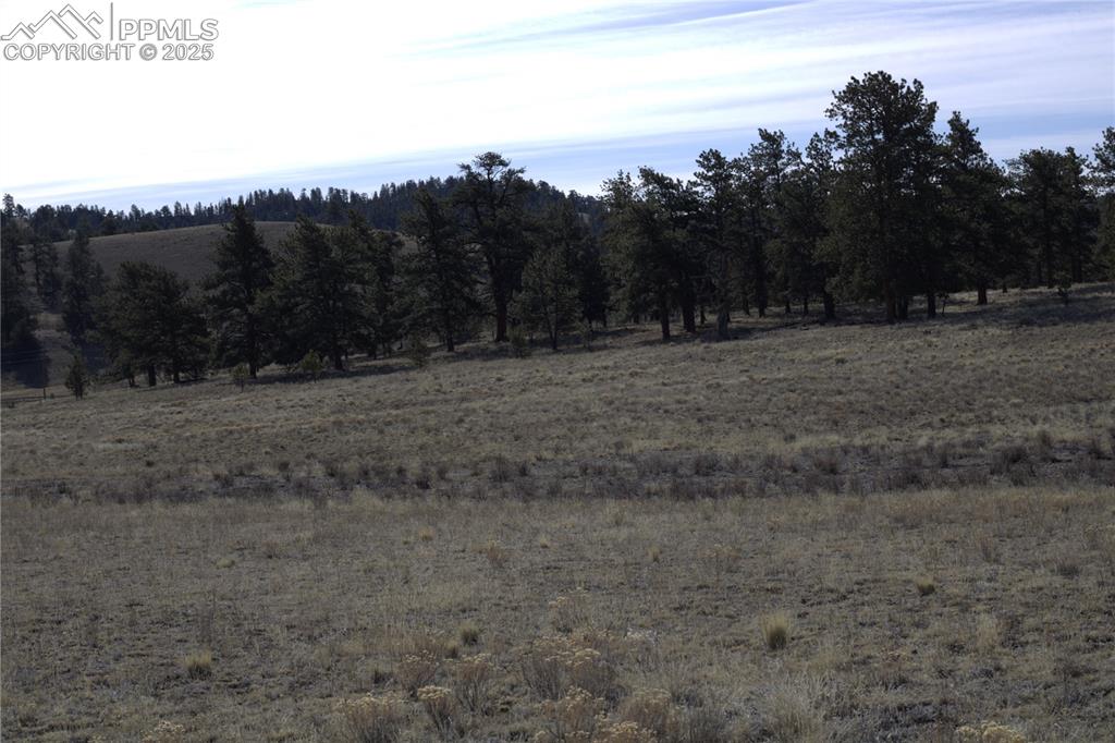 2450 Antelope Lane Guffey CO 80820