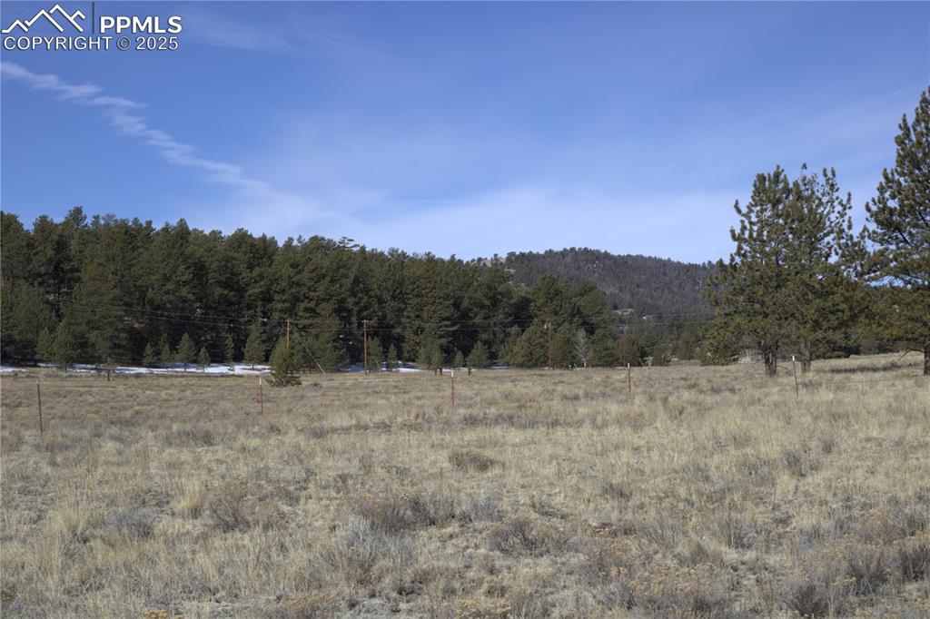 2450 Antelope Lane Guffey CO 80820