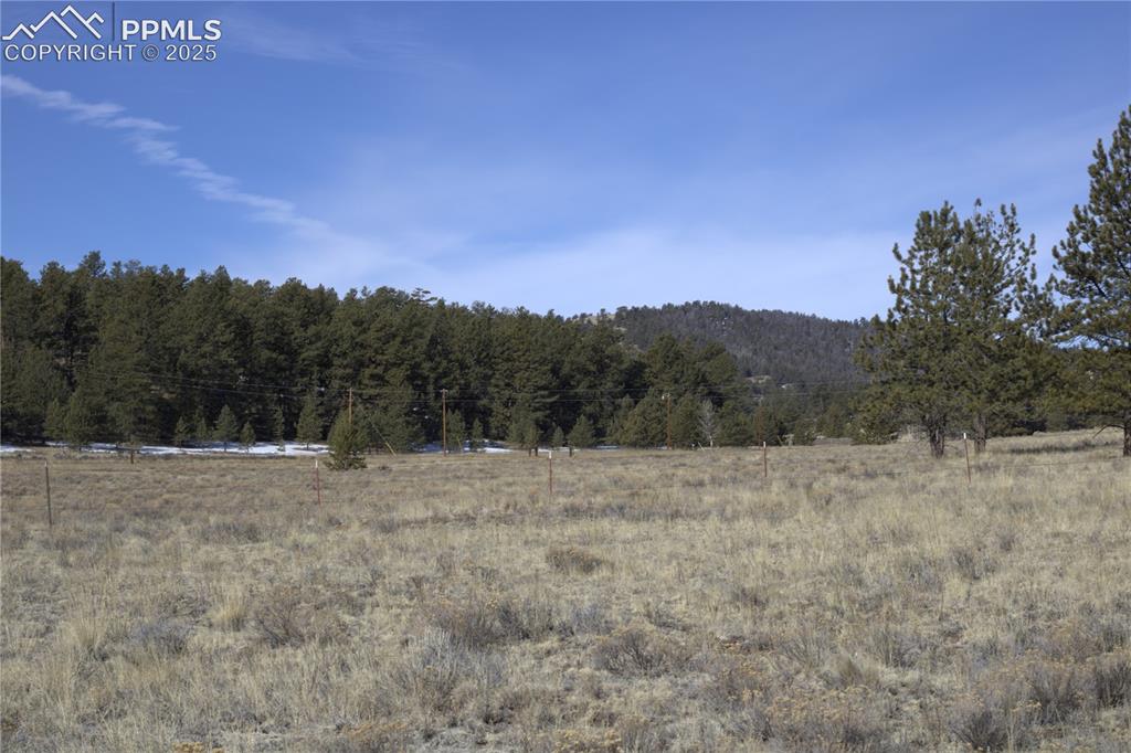 2450 Antelope Lane Guffey CO 80820