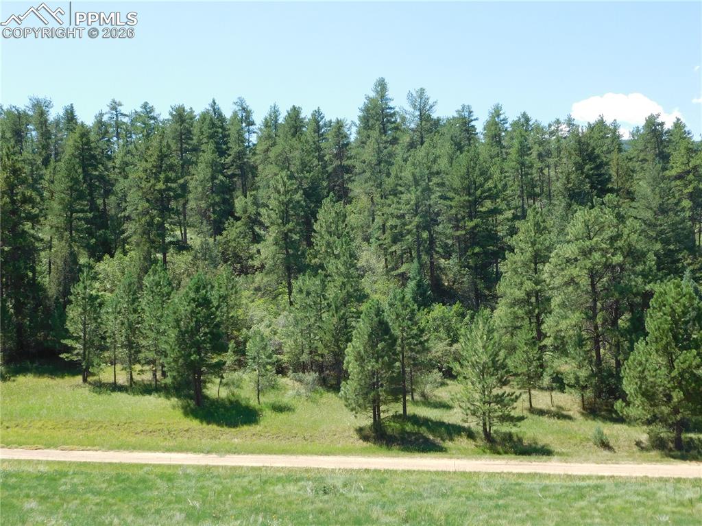 4668 Comanche Drive Larkspur CO 80118