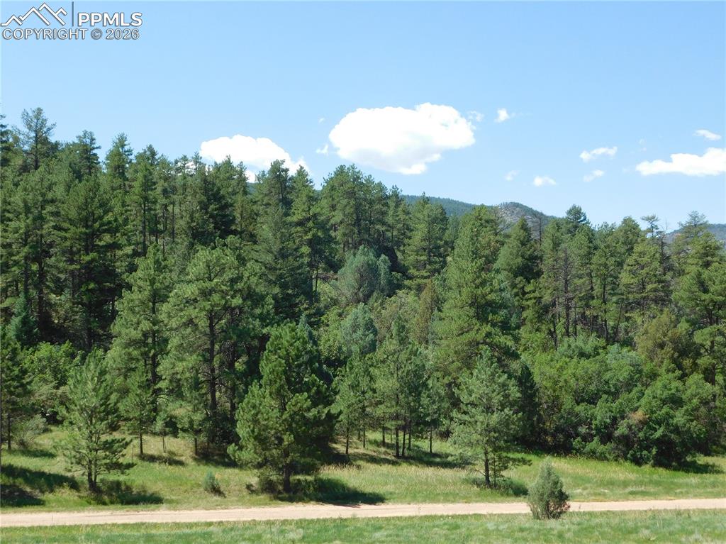 4668 Comanche Drive Larkspur CO 80118