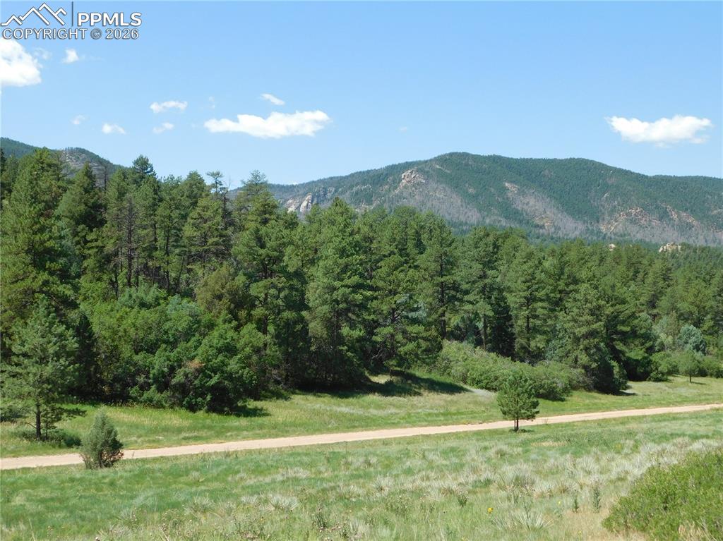 4668 Comanche Drive Larkspur CO 80118