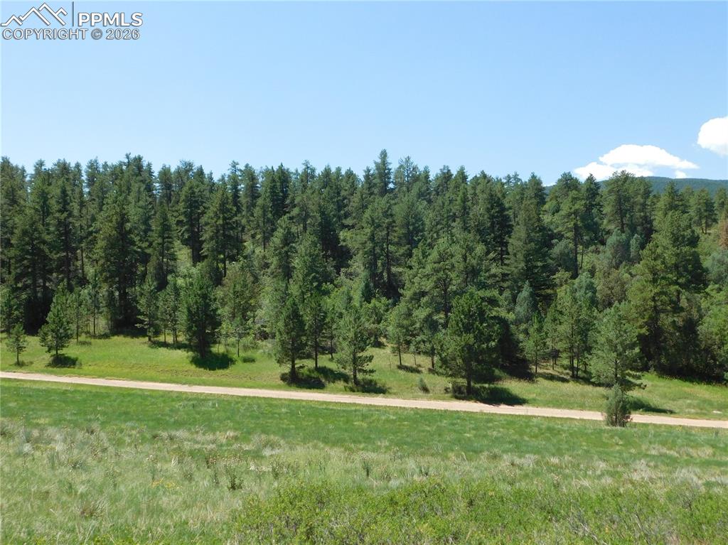 4668 Comanche Drive Larkspur CO 80118