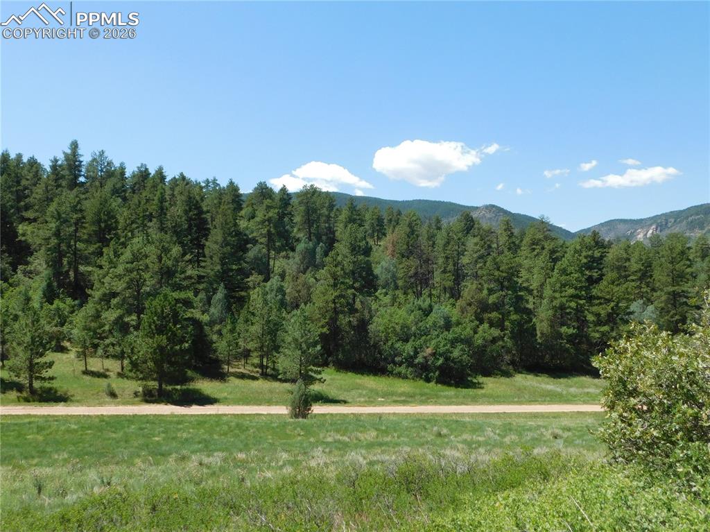 4668 Comanche Drive Larkspur CO 80118