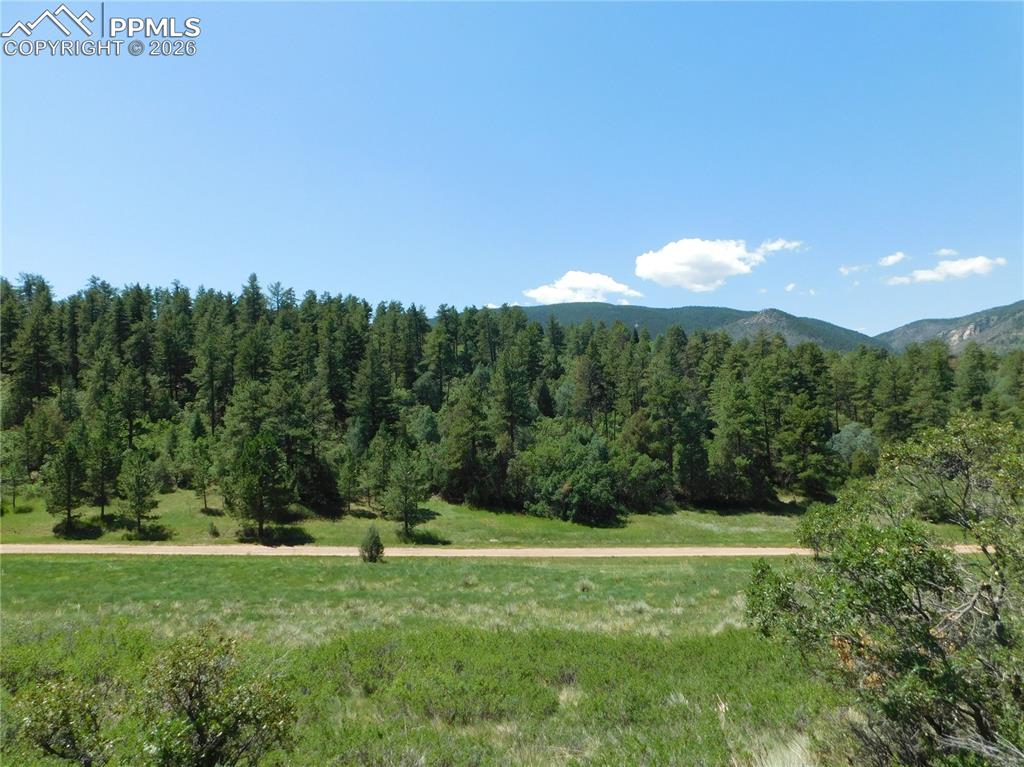 4668 Comanche Drive Larkspur CO 80118