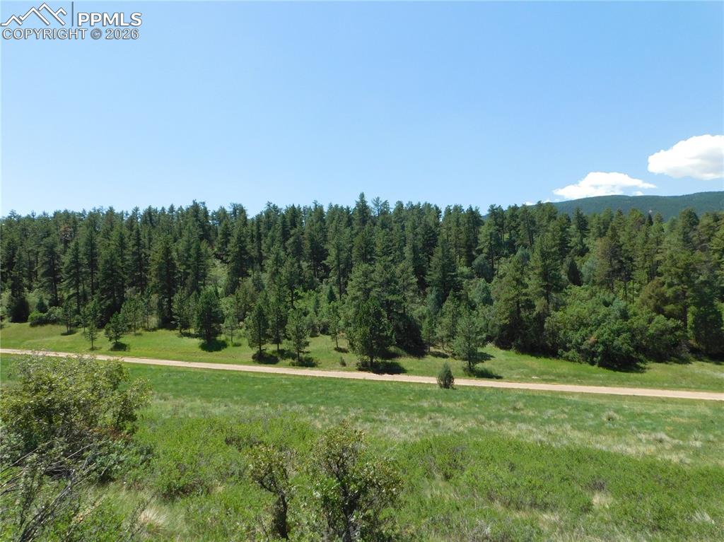 4668 Comanche Drive Larkspur CO 80118