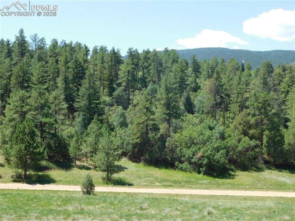 4668 Comanche Drive Larkspur CO 80118