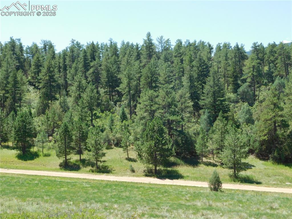 4668 Comanche Drive Larkspur CO 80118