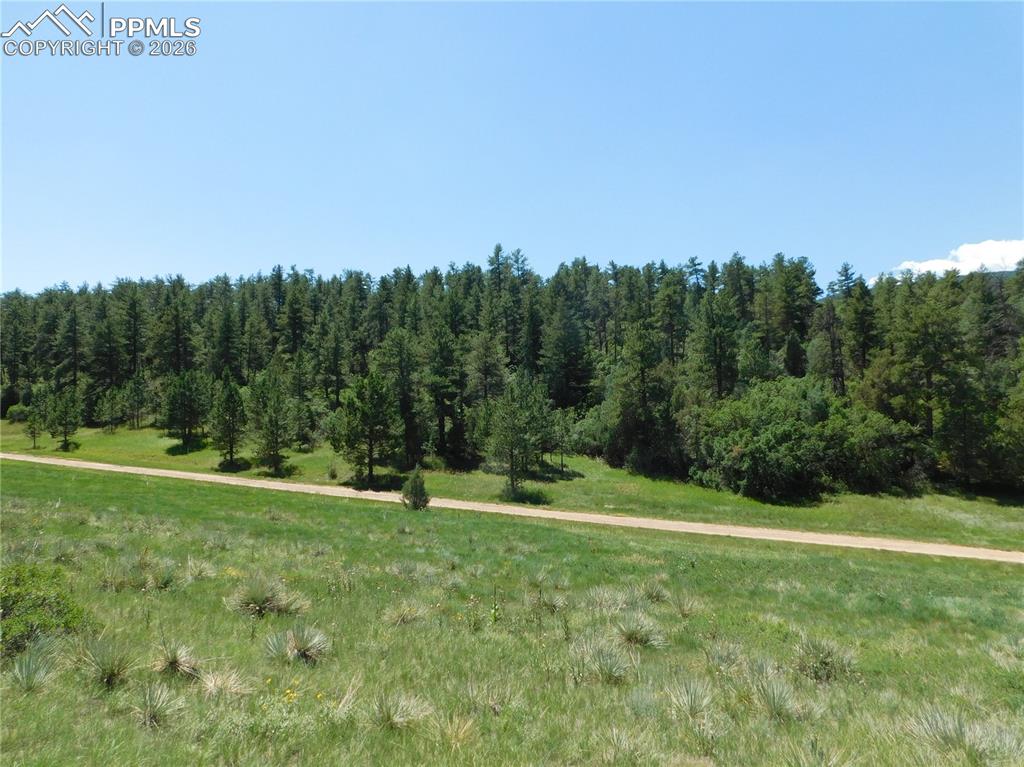 4668 Comanche Drive Larkspur CO 80118
