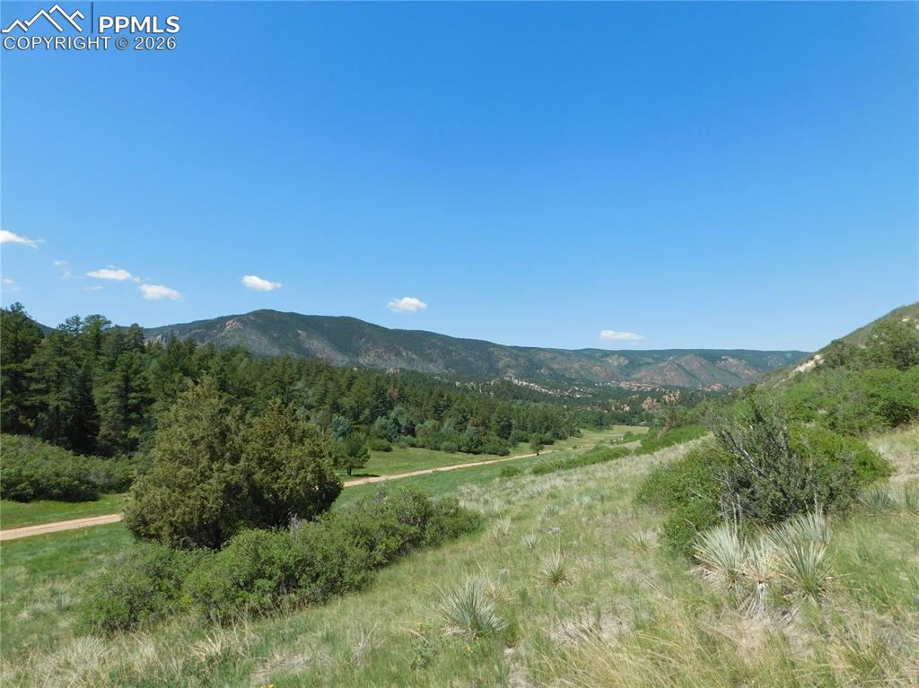 4668 Comanche Drive Larkspur CO 80118