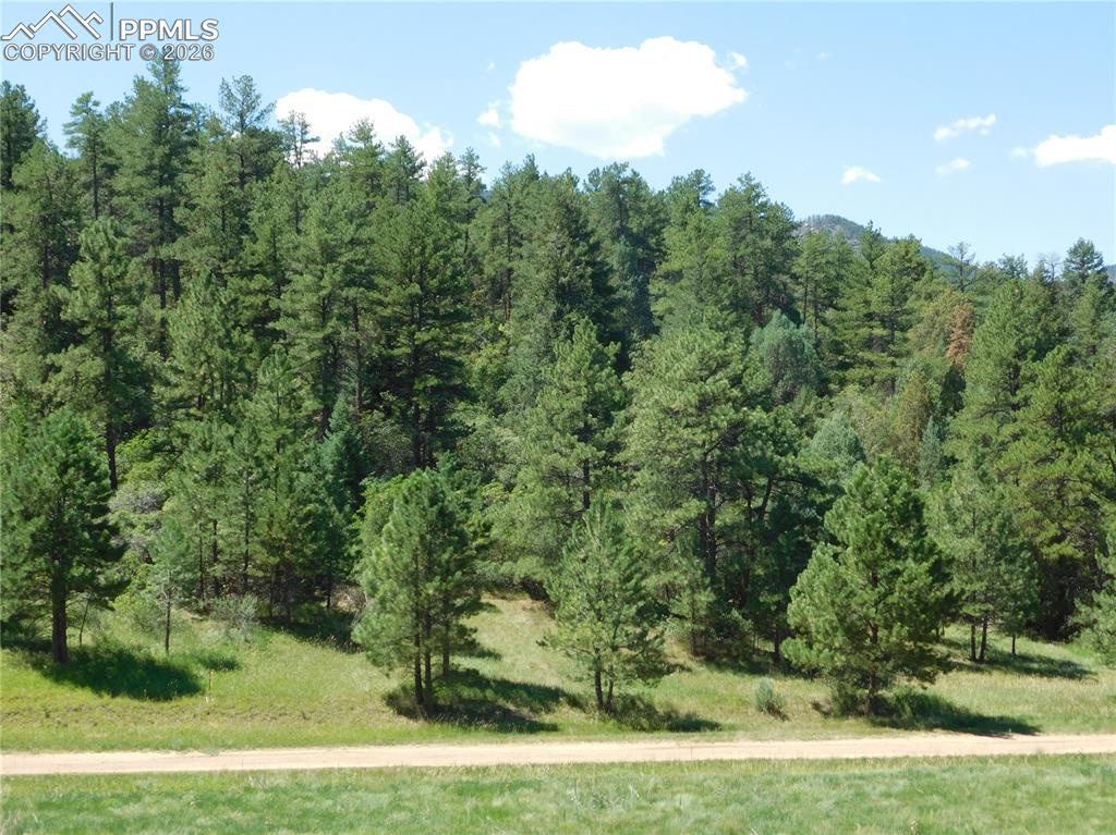 4668 Comanche Drive Larkspur CO 80118