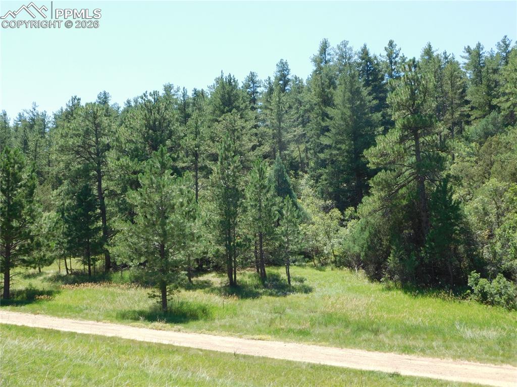 4668 Comanche Drive Larkspur CO 80118
