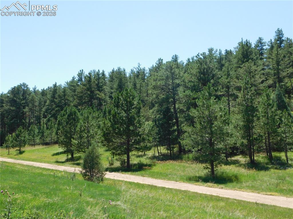 4668 Comanche Drive Larkspur CO 80118