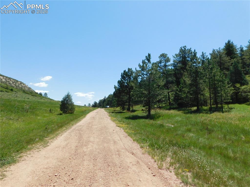 4668 Comanche Drive Larkspur CO 80118