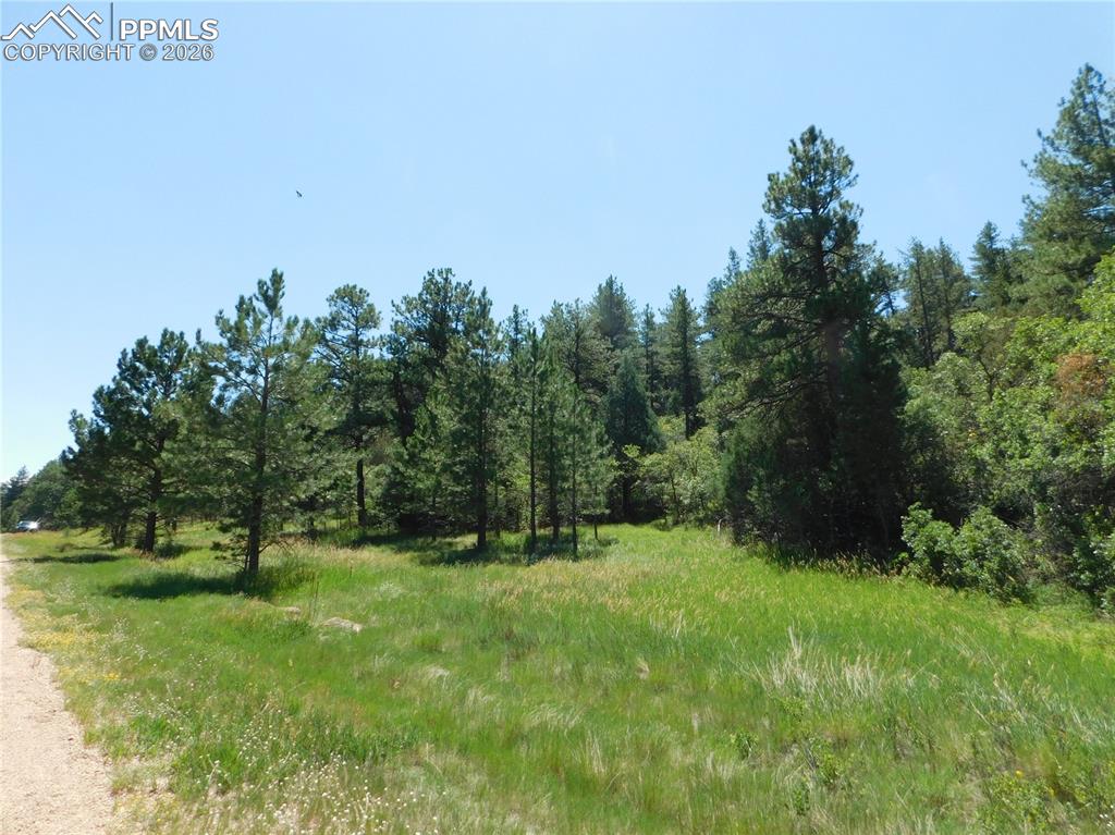 4668 Comanche Drive Larkspur CO 80118