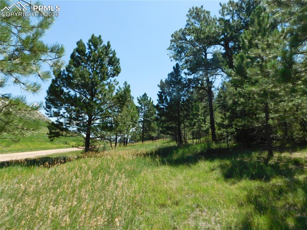 4668 Comanche Drive Larkspur CO 80118